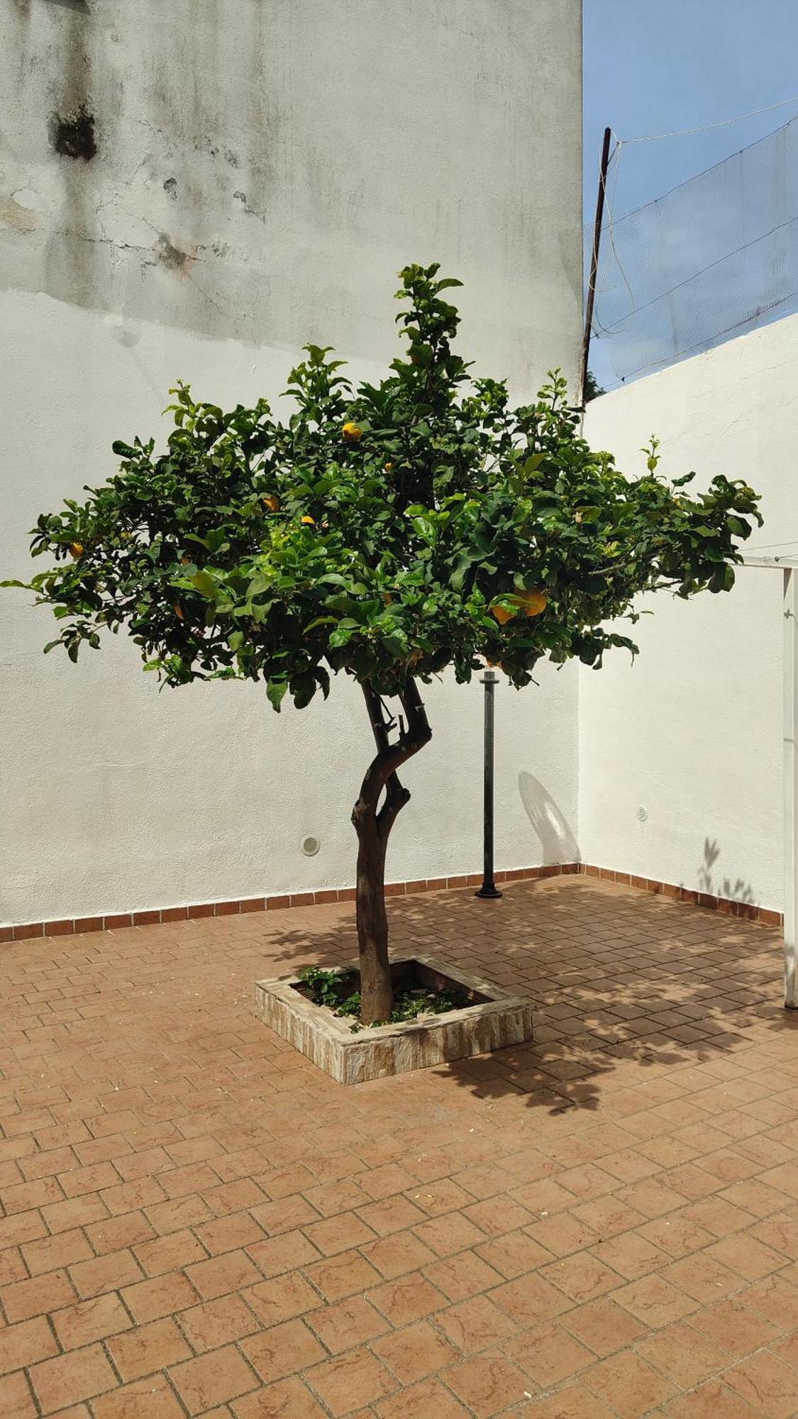 Casa Rinuccia Villa Casamicciola Terme Kültér fotó